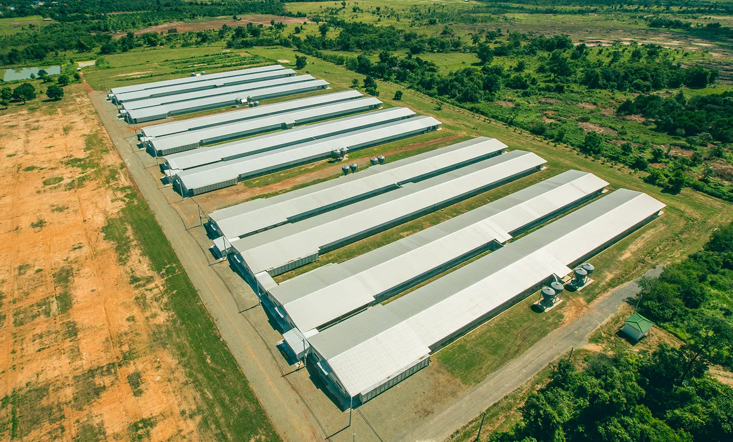 Agriculture Enterprises